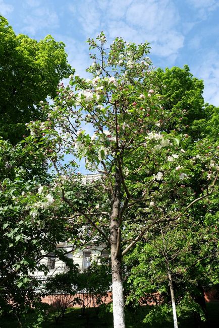 Kremlin Kremlin Tainitsky Garden și noul parc din mai