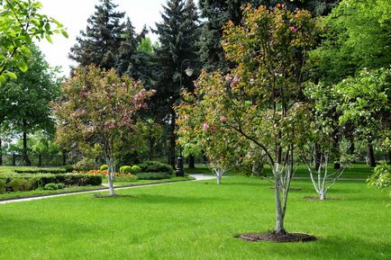 Kremlin Kremlin Tainitsky Garden și noul parc din mai