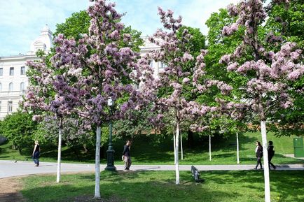 Kremlin Kremlin Tainitsky Garden și noul parc din mai