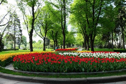 Kremlin Kremlin Tainitsky Garden și noul parc din mai