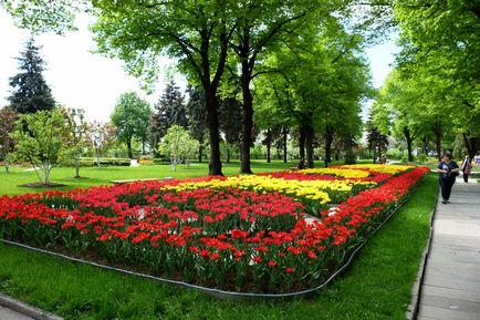 Московський кремль Тайницкая сад і новий парк в травні