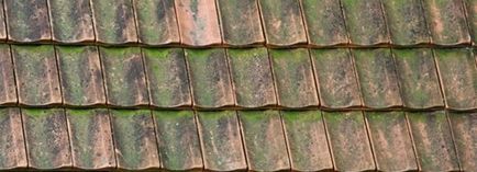Мос на покрива как да премахнете мъх с керамични керемиди