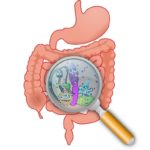 Mucosa compositum használati utasítást, ár, áttekintésre, analógok