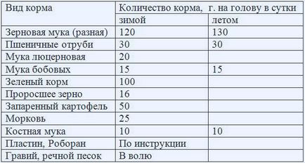 Мускус патици у дома (indoutki) размножаване, отглеждане на малките