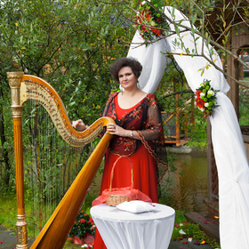 Muzicianul harpist la nunta lui Elena tavusheva