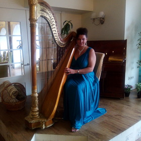 Muzicianul harpist la nunta lui Elena tavusheva