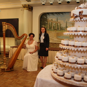 Muzicianul harpist la nunta lui Elena tavusheva