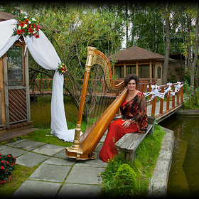 Muzicianul harpist la nunta lui Elena tavusheva