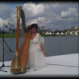 Музикант арфистка на весілля елена тавушева