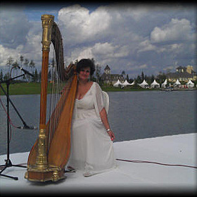 Muzicianul harpist la nunta lui Elena tavusheva