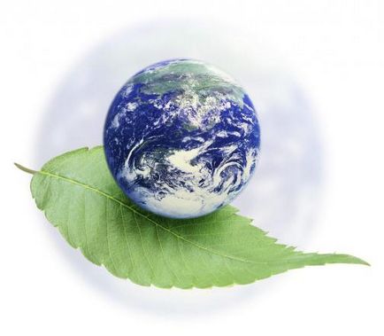 Cele mai renumite zile internaționale de mediu