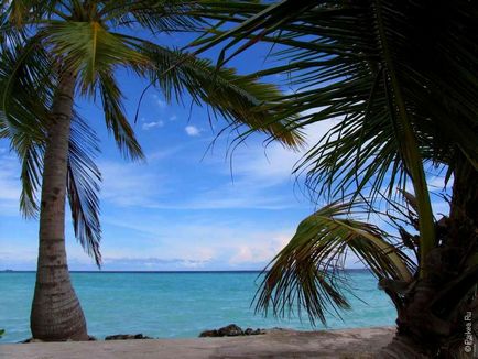 Недорогі Мальдіви - острови північного атолу мале хіммафуші, хурал, тулусду, діффуші