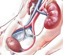 Sindromul nefrotic - diagnostic, simptome, tratament