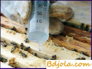 Tratamentul cu acid oxalic, boala albinelor