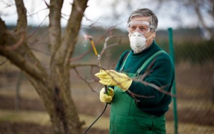 cseresznye feldolgozás a kártevők cseresznye légy, weevils, levéltetvek