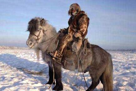 Oda din calul Yakut