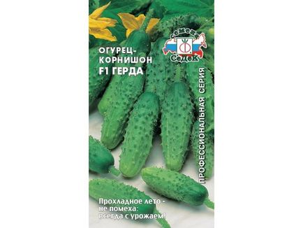 Uborka haver f1 Sedékiás vásárolni Szentpétervár, Moszkva, Jekatyerinburg, Kazan, alacsonyabb Novgorod (Szentpétervár) Uborka barátjának f1 Sedékiás vásárolni Szentpétervár, Moszkva, Jekatyerinburg, Kazan, Nyizsnyij Novgorod
