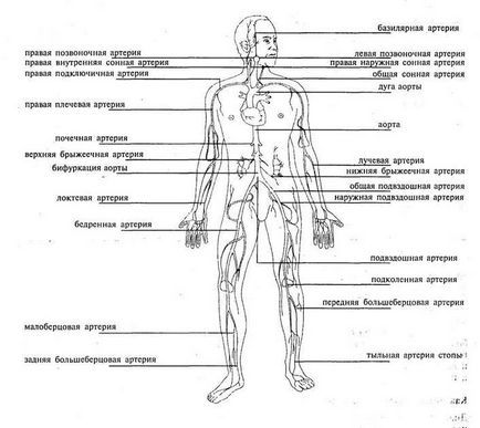 Ocluzie arterială