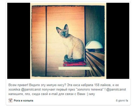 Досвід роботи в instagram як залучити фоловерів