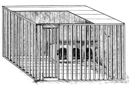 Jellemzők fogságban tartalom kutyákat