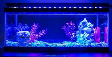 Spectrul și intensitatea iluminării acvariului, iluminatul acvariului, caracteristicile spectrului de lumină