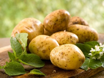 Відбираємо картопля на насіння