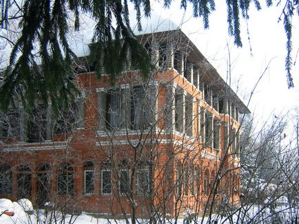 Hotel pentru pisici și pisici - domik pentru pisici, hotel de pisică în moscow