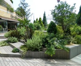 Kertészeti és parképítés bevezető zónában