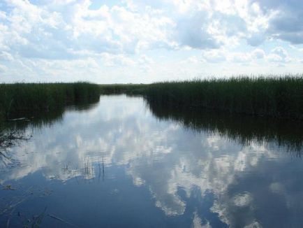 Lacurile din regiunea Kemerovo petrec vacanțe în locuri pitorești