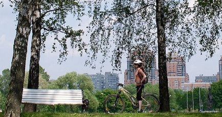 Parcul prieteniei la adresa stației de râu, fotografie, cum se obține