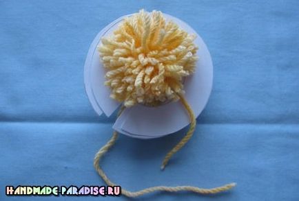 Pui de pui de la pom-poms