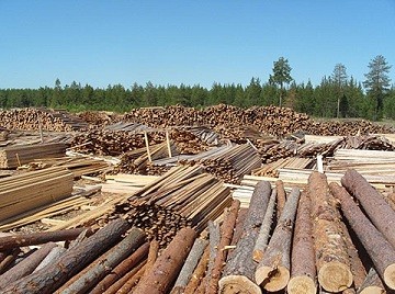 Переробка відходів лісопиляння, класифікація відходів і видів переробки