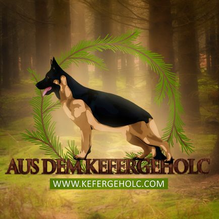 Câine de ciobanesc german aus dem kefergeholc