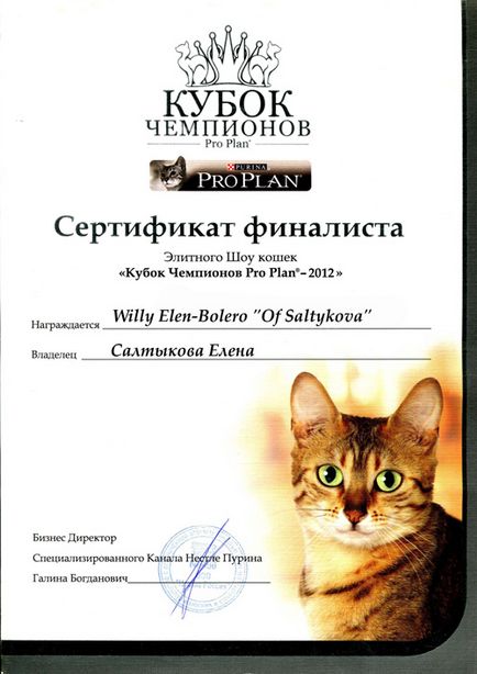 Cattery of Scottish Fold pisici elen-bolero - producători (scotish fold) Catelus de pisici Scottish Fold elen-bolero - producători