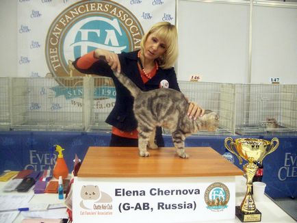 Catelus de pisici Scottish Fold elen-bolero - producători