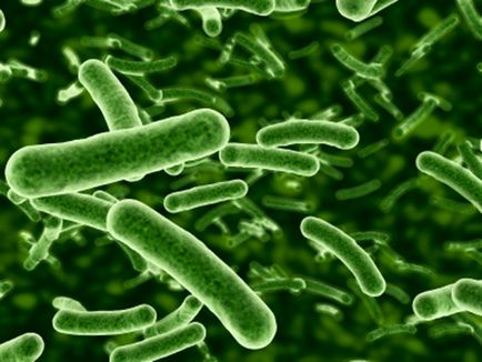 De ce bacteriile pot fi ajutoarele fermierilor