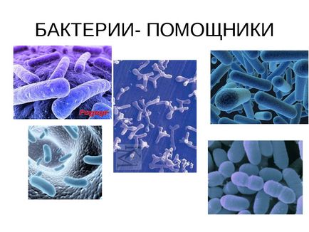 De ce bacteriile pot fi ajutoarele fermierilor