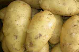 Чому імпортна картопля привабливіше білоруської бульби