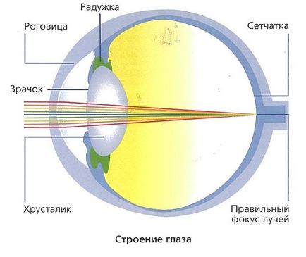 Чому важливо коригувати зір на 100%