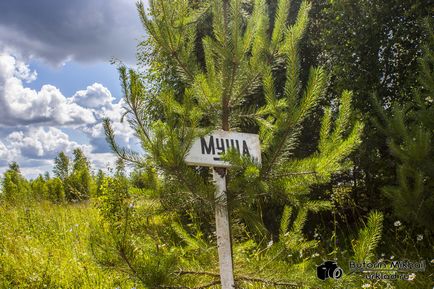 A kirándulás Lake Kirov Sátán