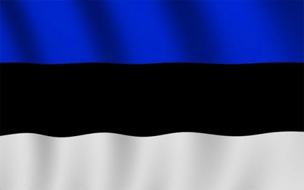 Călătoriți în Estonia pentru viză