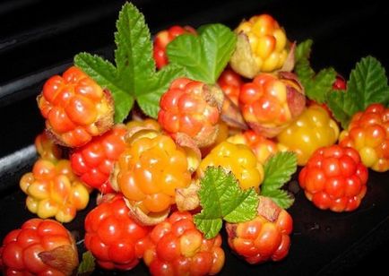 Корисні властивості ягоди морошки