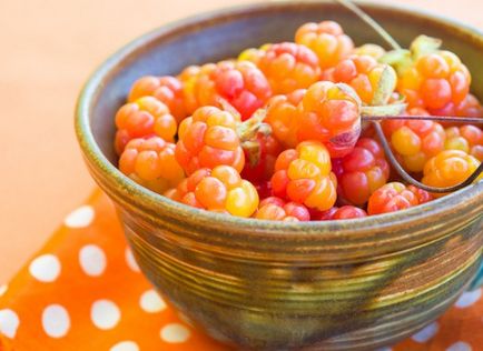 Корисні властивості ягоди морошки
