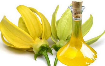 Beneficii și rău pentru uleiul ylang-ylang pentru sănătatea umană