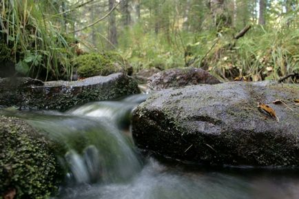 Помяненний або колчімскій камінь в пермському краї близько Красновишерском пам'ятки уралу