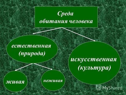 Презентація на тему середовище проживання людини