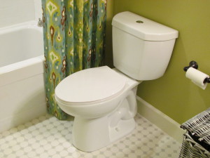 Principiul de funcționare a vasului toaletei unei toalete, construcții, acțiuni, tipuri, instrucțiuni de instalare,