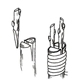 Щеплення в розщепів - все, про що треба знати садівникові, в саду ()