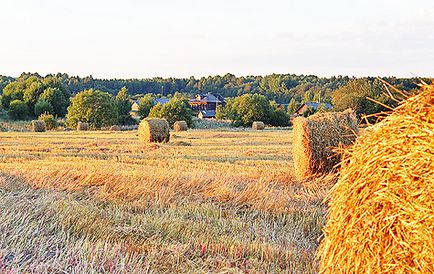 A „vezető” ( „Szeretek séta Kedvenc”) „Guide” projekt