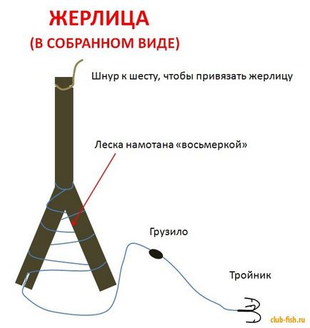 Проста річна жерлица на щуку - жерлица - рогатка - рибалка - інформаційно-розважальний портал